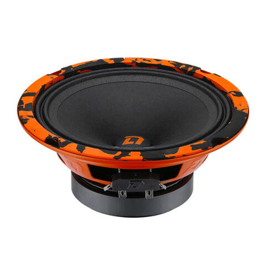 DL Audio Barracuda 165 | Эстрадная акустика 16 см. (6.5")