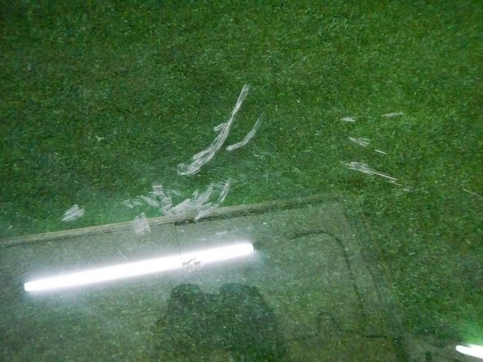 DSCN4246.jpg