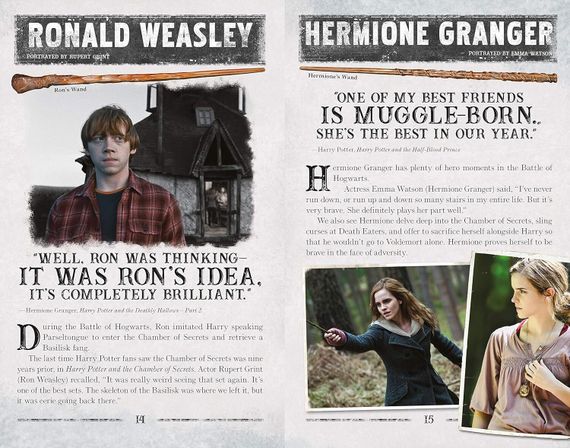 The Battle of Hogwarts - Harry Potter