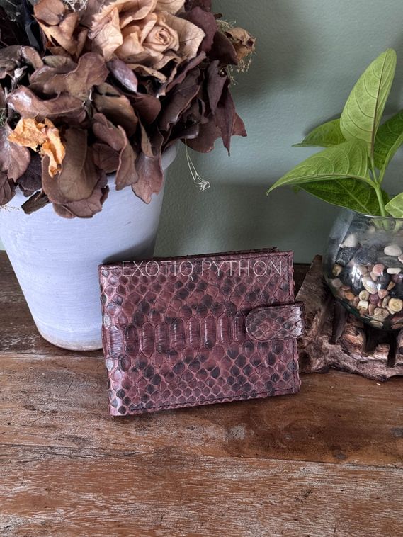 Бифолд кошелек из кожи питона WA-255