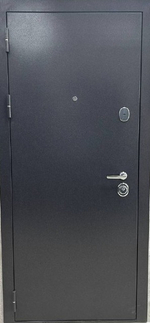 Дверь входная Вектор