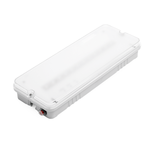 Светильник LED аварийный ДБО03-3-051-6К с БАП EM3 3Вт 6500К IP65 Матовый 220лм 304х107х40мм ОРИЕНТИР Мини WOLTA PRO