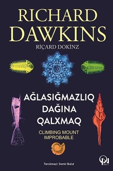 Ağlasığmazlıq dağına qalxmaq
