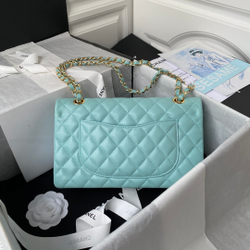 Chane1 Classic Flap Bag 25 cm