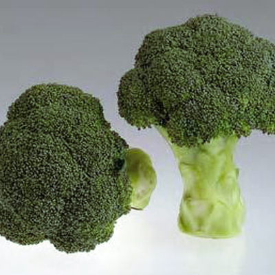 Грин Мэджик F1 семена капусты брокколи (Sakata / Саката)