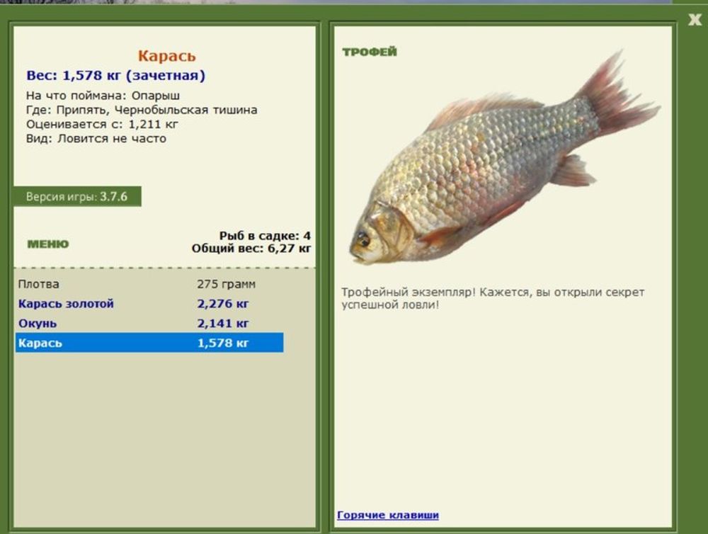 Влажный препарат Карась — купить по ФГОС | Учебный стандарт