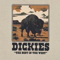  Футболка мужская Dickies Darrtown Short Sleeve Tee 