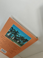 Пальмы (Растения в доме)