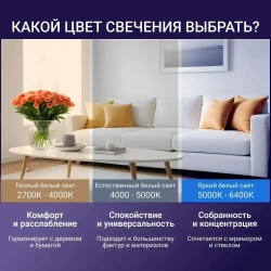 Лампочка светодиодная E27, PREMIUM груша, дневной белый свет, 10Вт 1 шт