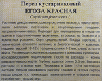 Перец кустарниковый Егоза красная 0,1 г автор.Н24 СМП-10
