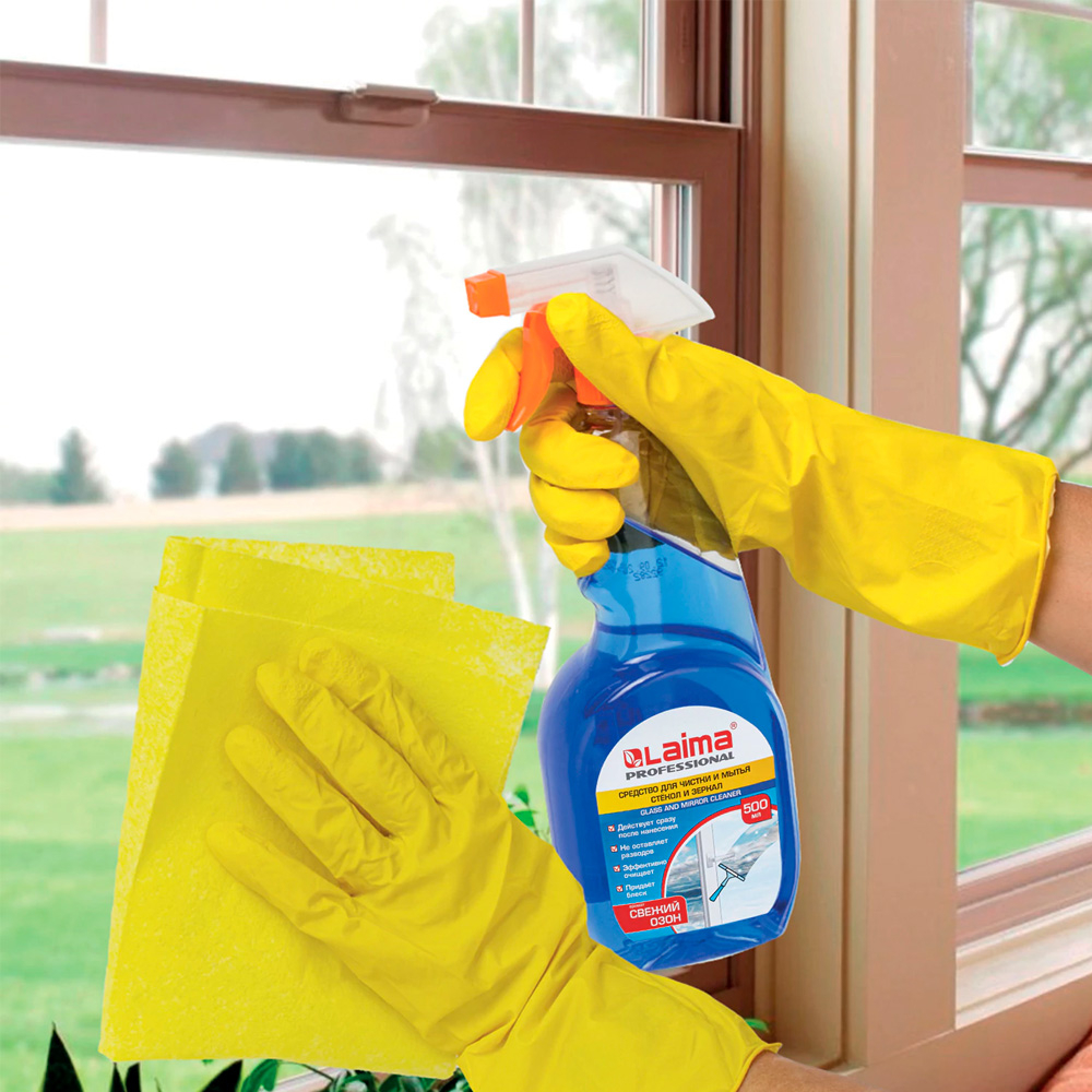 Средство для мытья стекол и зеркал Laima Professional, распылитель, 500 мл