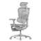 Кресло FALTO Ergohuman Luxury 2 с подножкой ( серый каркас /сетка светлаяT-168-B2 Natural)