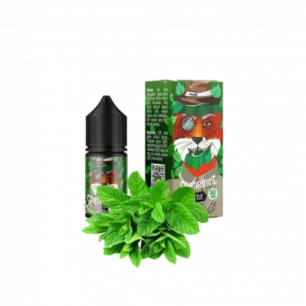 In Bottle Salt Spearmint (Мята, 50 мг, 30 мл)