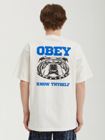 Мужская Футболка Obey Know Thyself