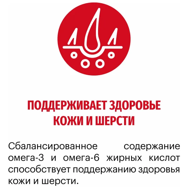 Сухой корм Karmy Medium Junior для щенков средних пород, с индейкой