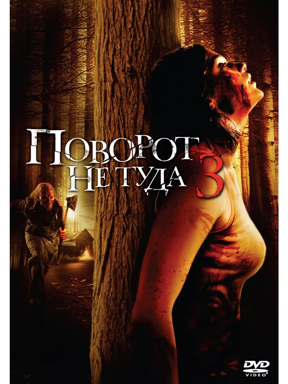 Поворот не туда 3 (2009) (DVD-R)