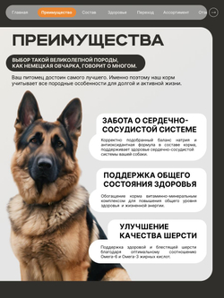 Корм сухой для взрослых собак породы Немецкая овчарка, премиум полнорационный комплекс, с индейкой, 3 кг, QUATTRO