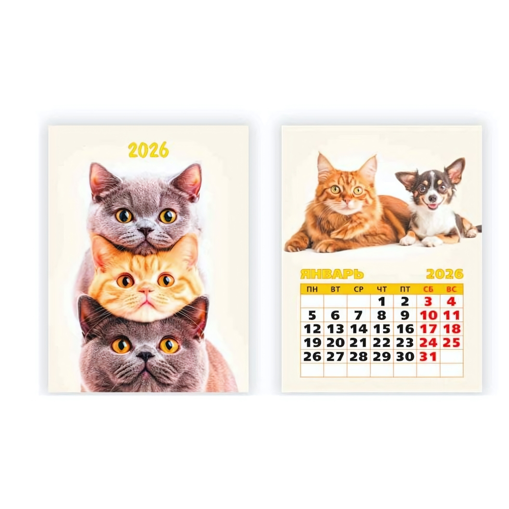 Календарь отрывной на магните 2026 котики (Квадра)