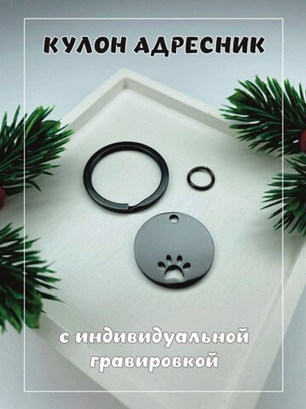 Кулон адресник, хромированный, с лапой, круглый, черный