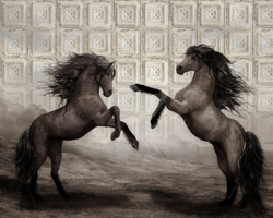 Коллекция ALLUSION