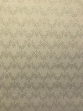 Обои Valentcia виниловые на флиз.основе 540602W,1,06*10м