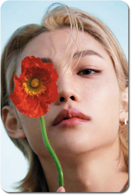 Карта / STRAY KIDS #0348