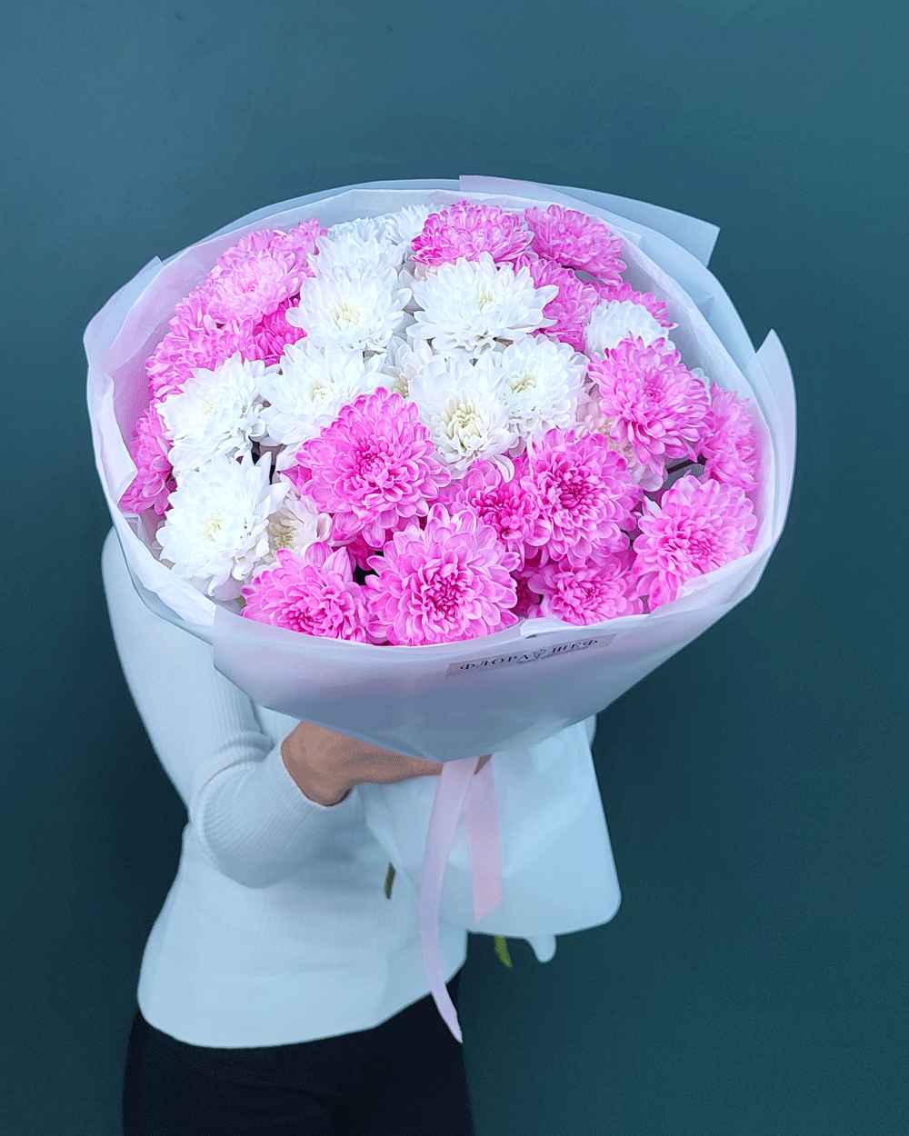 Хризантема кустовая белая и розовая,9шт(00443)