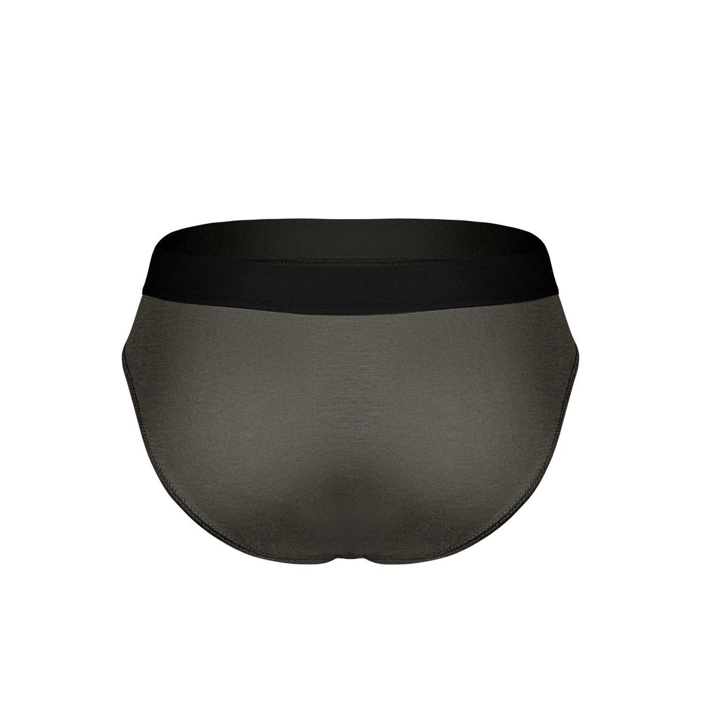 Темно-серые бамбуковые трусы-брифы (Размер: L) (Цвет: темно-серый)