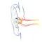 Nobunaga Labs NL-APF Small for AirPods Pro