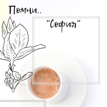 «Софиа» — отличная память, внимание и эмоциональная устойчивость