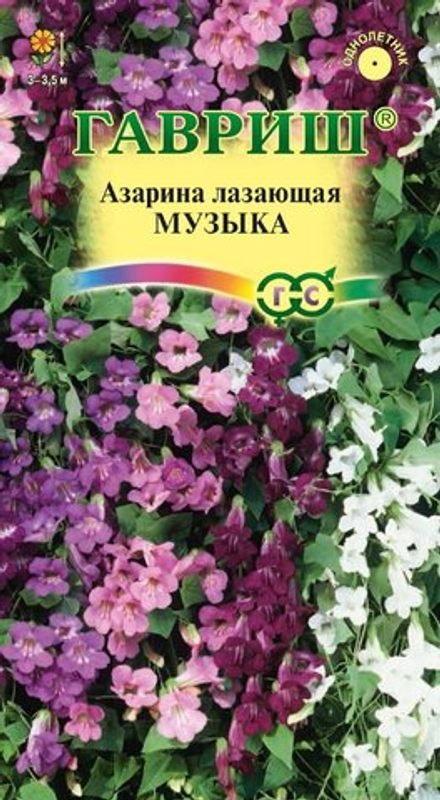 Азарина Музыка