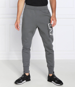 спортивные штаны EA7 - серый(6LPP91 PJ07Z)