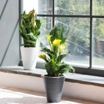 Кашпо для цветов пластиковое 5,2л d-21,5см «Валенсия» со вставкой мокко