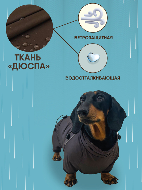 Утепленный комбинезон для Таксы карликовой Монморанси, коричневый, размер ТК1.