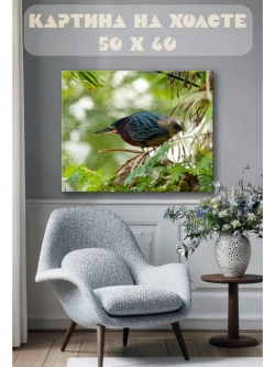 Картина на стену 40 X 50 Птица кваква