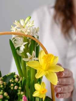 Весенняя капель