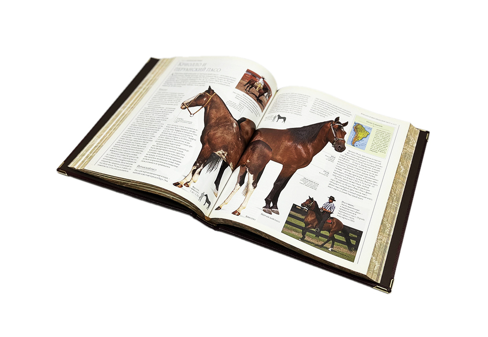 Лошади. Новая энциклопедия (в коробе)