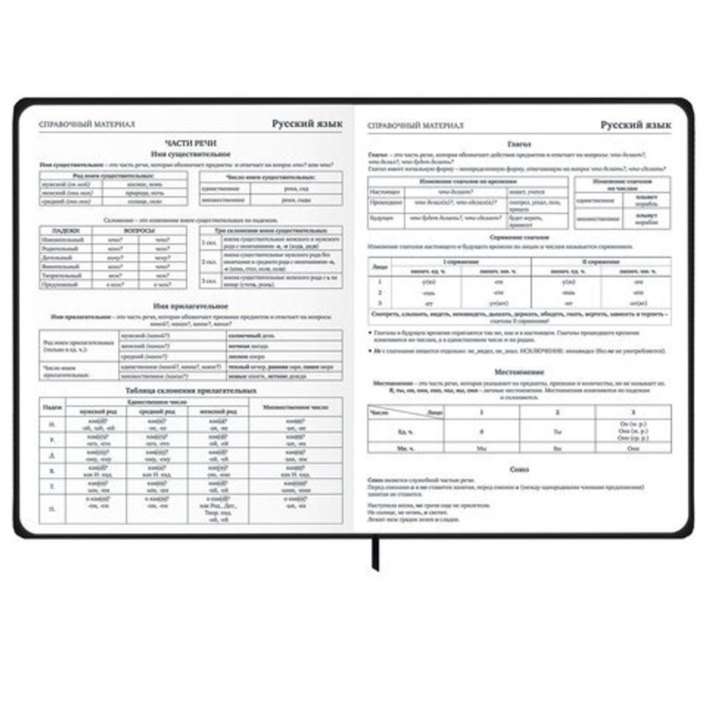 Дневник 1-11 класс 48 л., твердый, BRAUBERG, матовая ламинация, резинка, закладка-ляссе, с подсказом, "Дракон", 107240