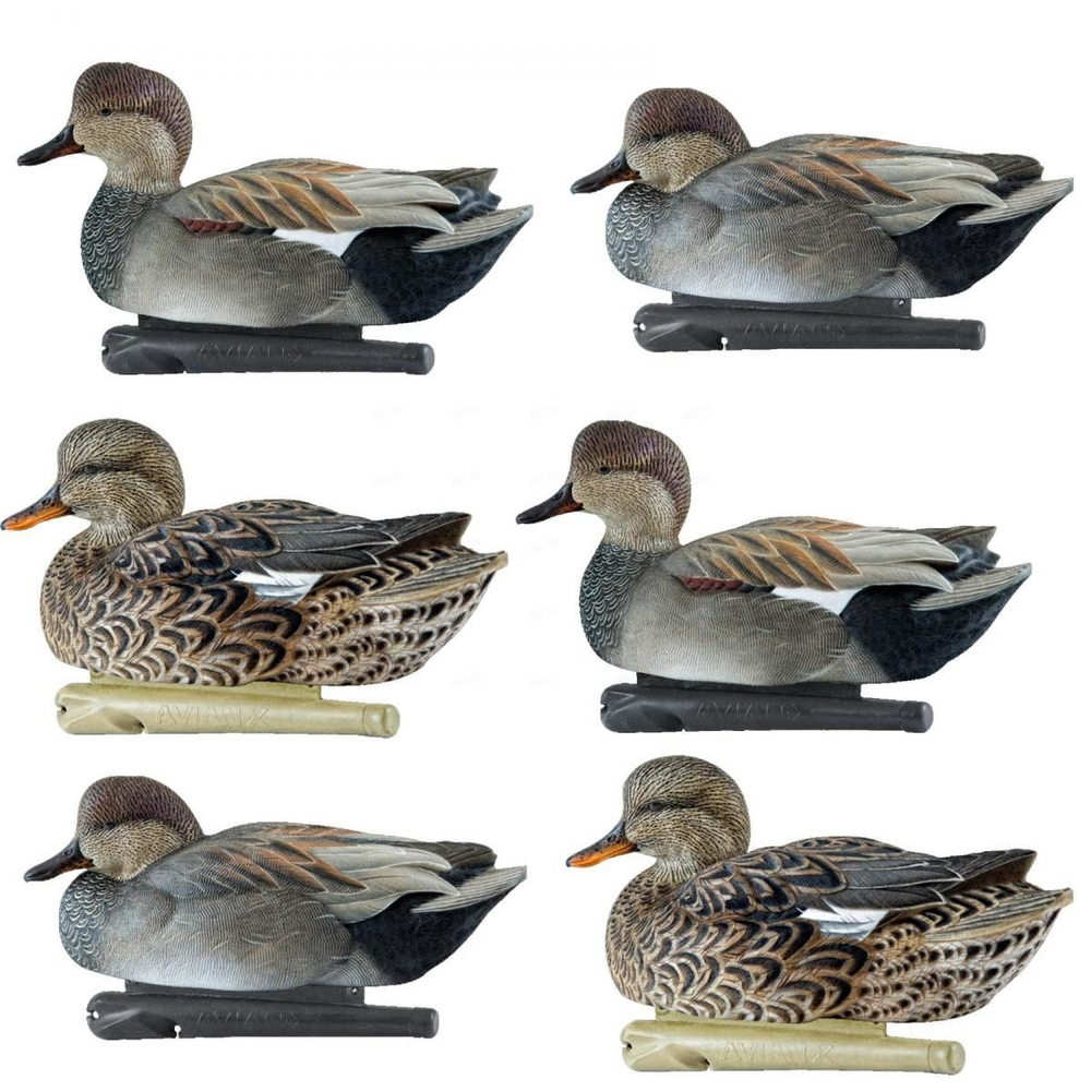 Чучела серой утки Avian-X TOPFLIGHT Gadwall (6 шт.)