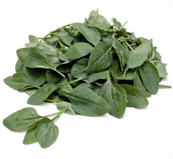 Спутник F1 семена шпината (Sakata / Саката)