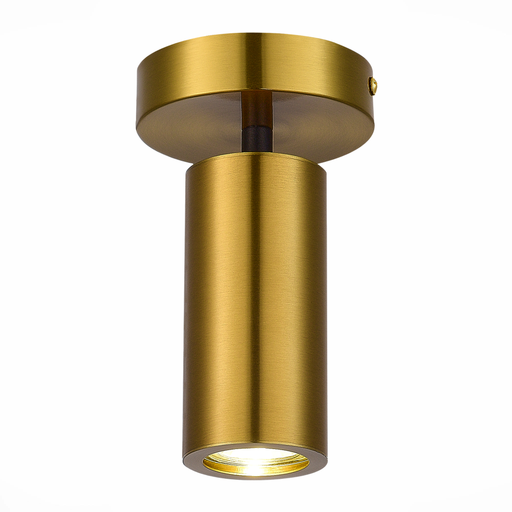 Светильник потолочный ST Luce Talia SL1215.402.01