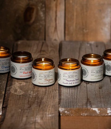 Чабрец китайская мята и зеленый лист, ароматическая свеча, Eteria cosmo