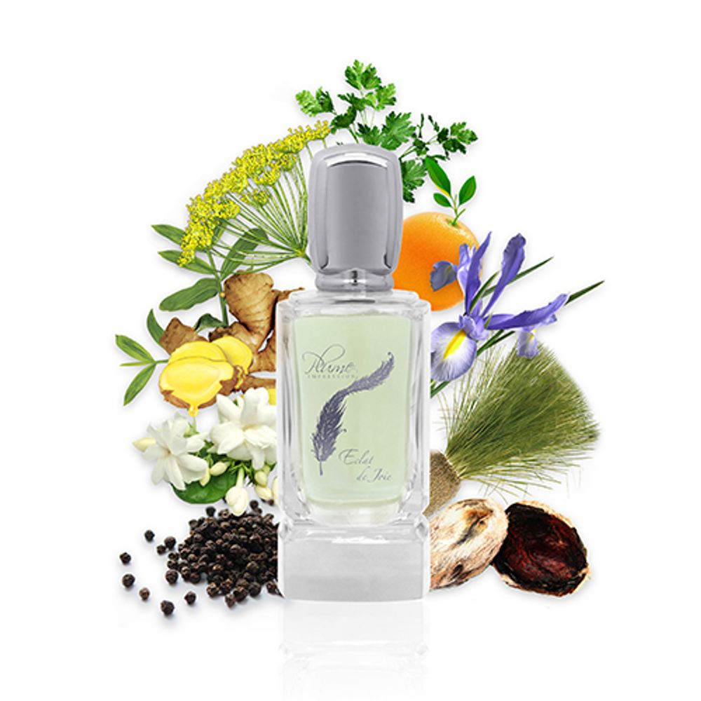 Plume Impression Eclat de Joie