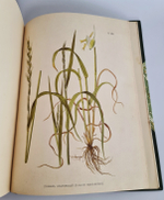 "Иллюстрированная классификация главнейших сортов луговых трав с кратким описанием каждой травы в отдельности". А.Ю.Лашкарев. 1898г. - редкая книга