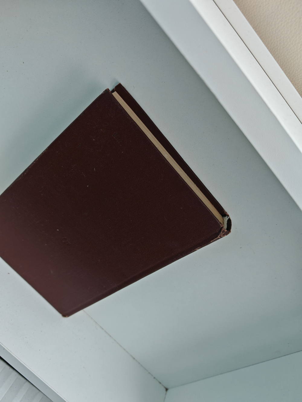 Корни и крона