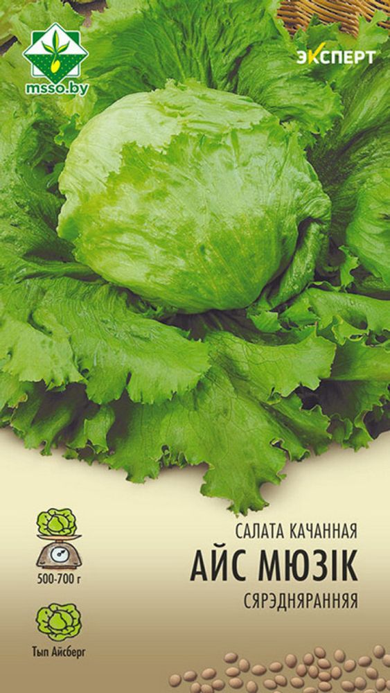Салат кочанный &quot;Айс Мюзик&quot; 20шт, Нидерланды.