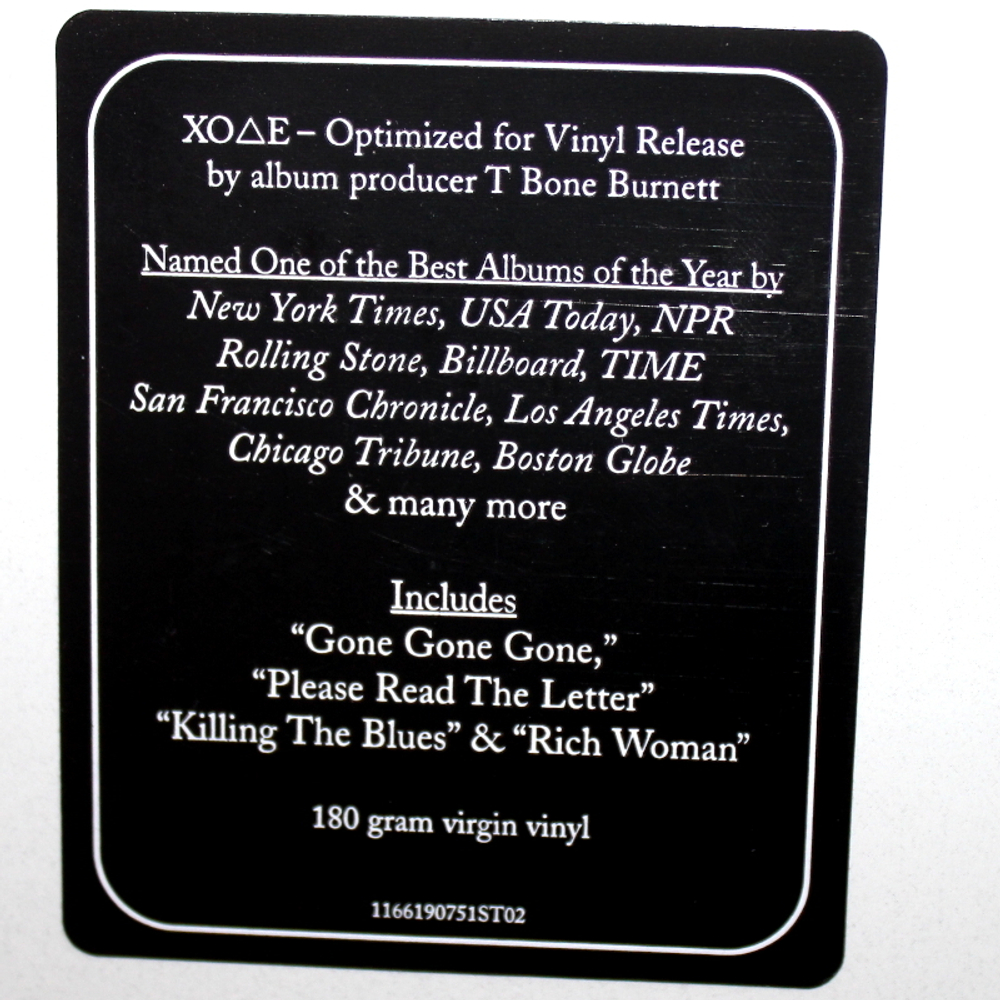 Robert Plant & Alison Krauss / Raising Sand (2LP)