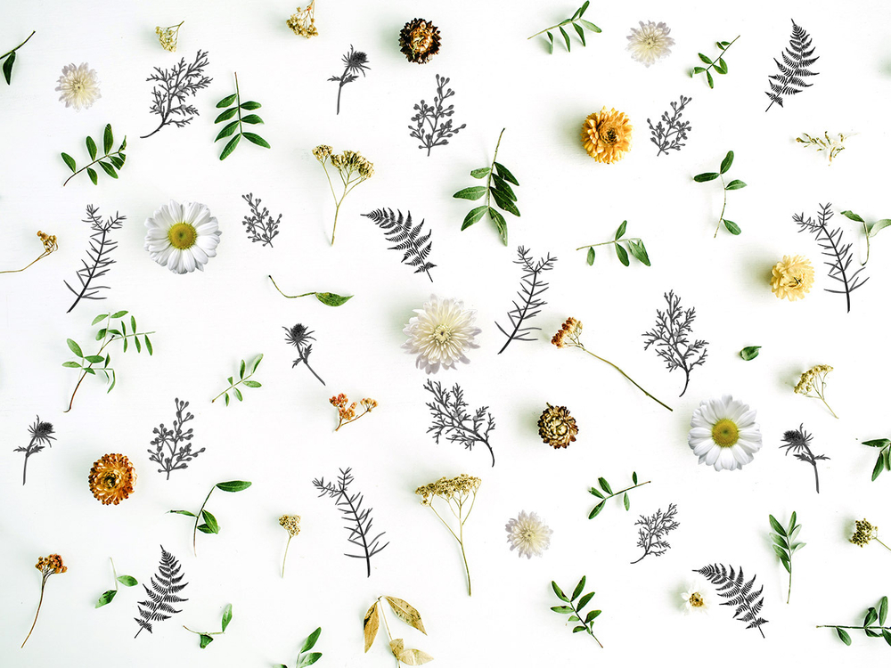 Дизайнерские обои Wall Street GreenDay-22