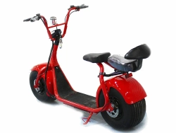 Электросамокат NS-TREK 1000W CITYCOCO