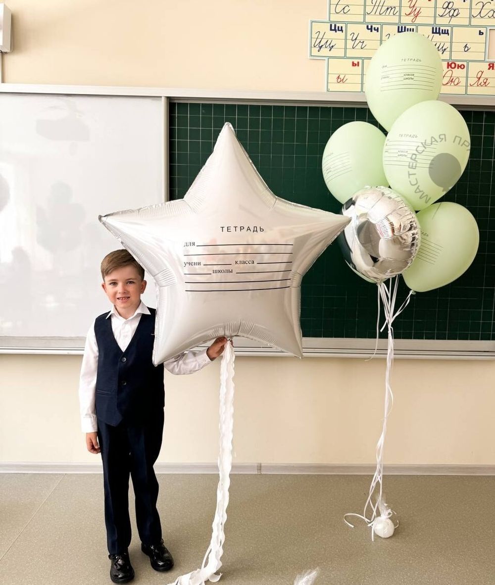 шары на 1 сентября в стиле тетрадки, фольгированная звезда и фисташковые латексные шары, мальчик в классе 